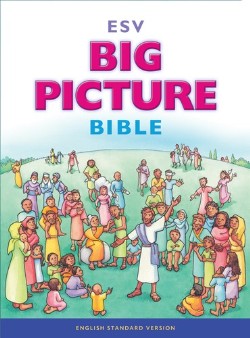 9781433541346 Big Picture Bible