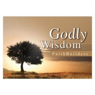 6006937109216 Godly Wisdom FaithBuilders