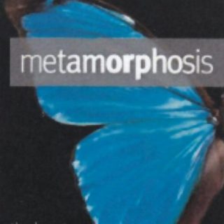804671031598 Metamorphosis (DVD)