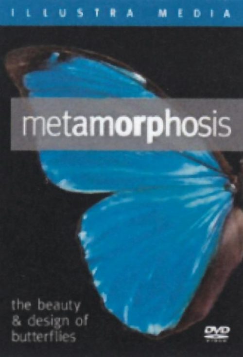 804671031598 Metamorphosis (DVD)