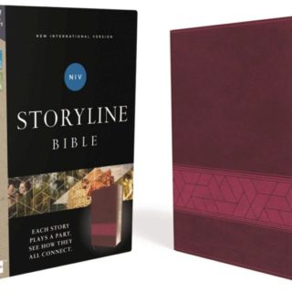 9780310080220 Storyline Bible Comfort Print