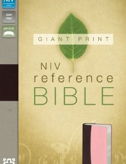9780310434993 Giant Print Reference Bible New International Edition