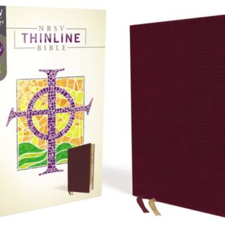 9780310452386 Thinline Bible Comfort Print