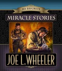 9780816356195 My Favorite Miracle Stories