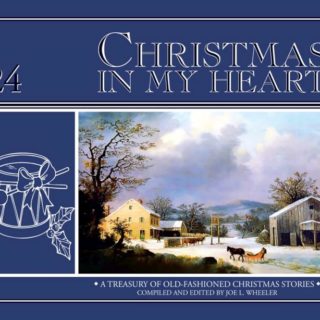 9780816357802 Christmas In My Heart Book 24