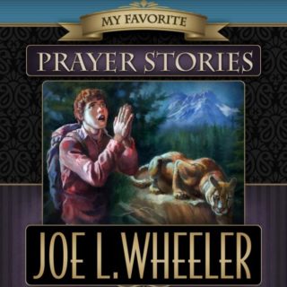 9780816358977 My Favorite Prayer Stories