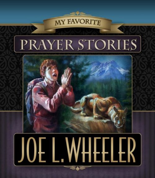 9780816358977 My Favorite Prayer Stories