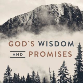 9781400311156 Gods Wisdom And Promises