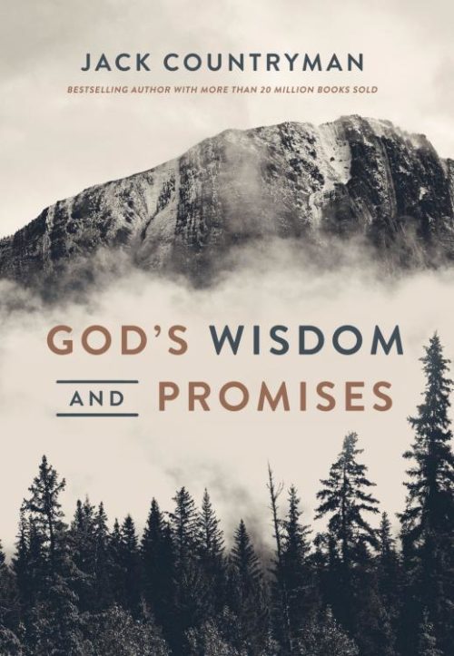 9781400311156 Gods Wisdom And Promises