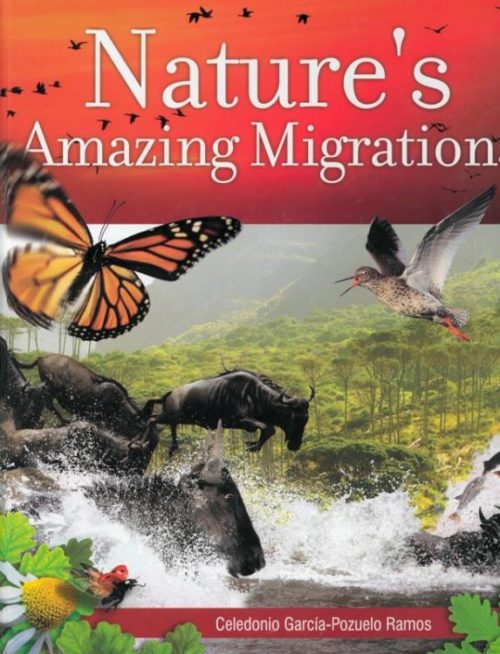 9788472084094 Natures Amazing Migrations