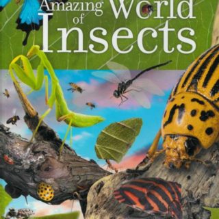 9788472084605 Amazing World Of Insects