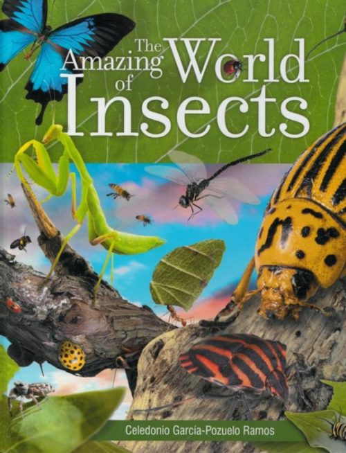 9788472084605 Amazing World Of Insects