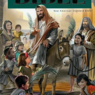 9788472085510 Illustrated Bible