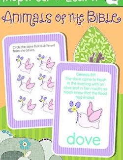 9781641236409 Animals Of The Bible Wipe Clean Flash Card Set
