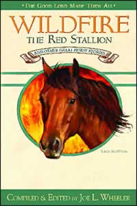081632154X Wildfire The Red Stallion