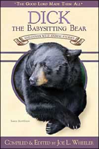 081632221X Dick The Babysitting Bear