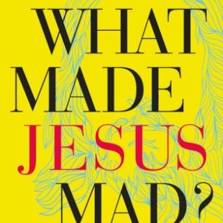 9781400208630 What Made Jesus Mad