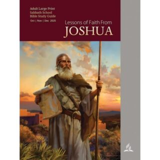 Q ADULT LARGE PRINT 4Q STP