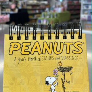 PEANUTS A YEARS WORTH OF SMILES AND BLESSINGS DAYBRIGHTENER